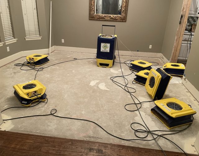 1-800 WATER DAMAGE of North Dallas 6