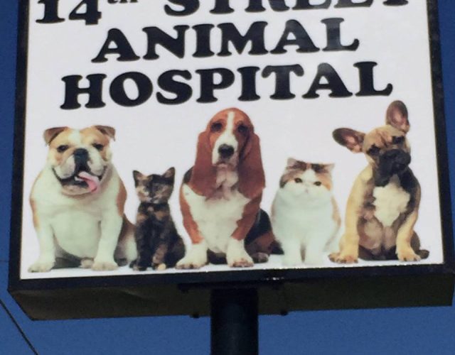 14th Street Animal Hospital 5