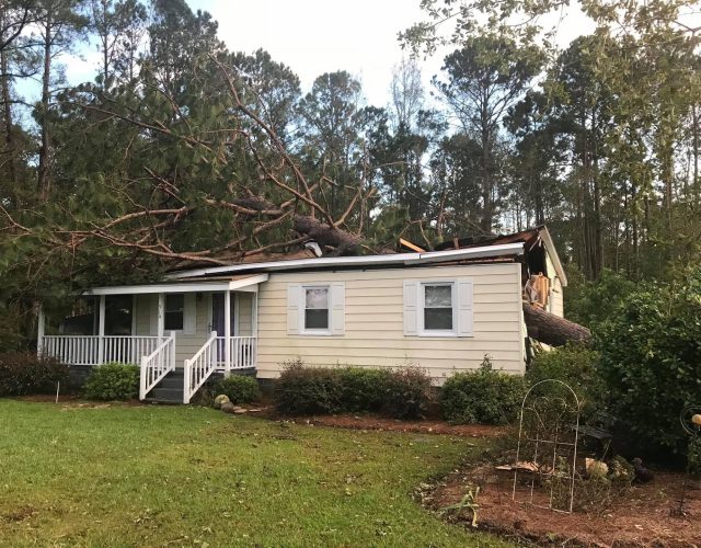 3 Alarm Tree Rescue 2