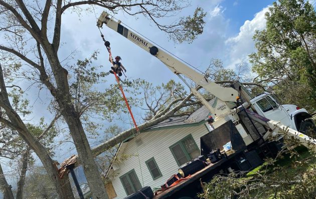 3 Alarm Tree Rescue 6