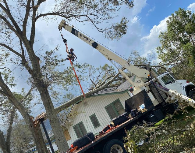 3 Alarm Tree Rescue 6