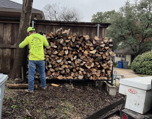 3 Brothers tree Service 2