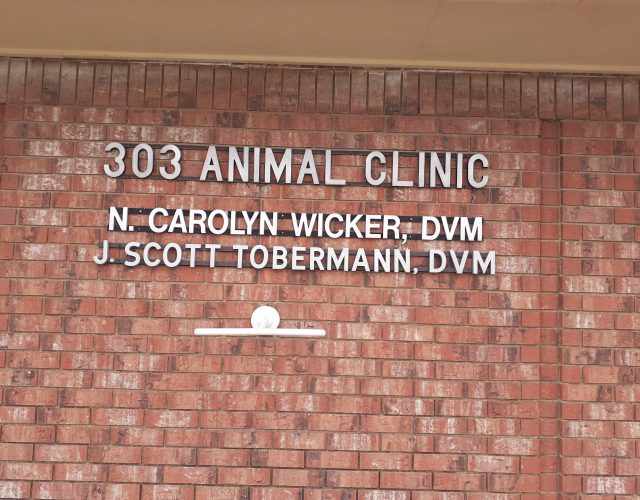 303 Animal Clinic 6