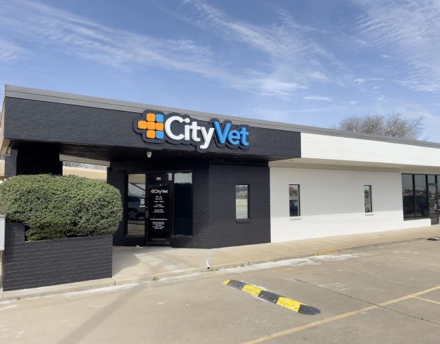 CityVet | Cedar Hill 6