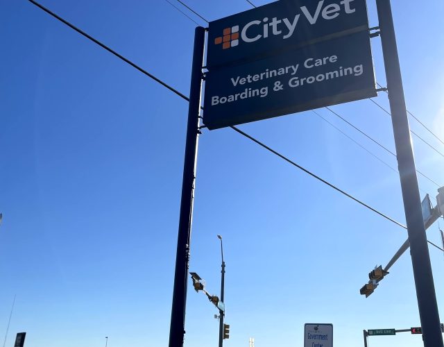 CityVet | Cedar Hill 2