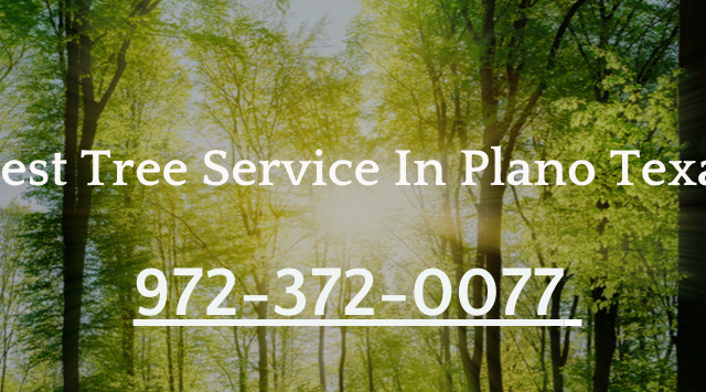 Tree Care Plano 2