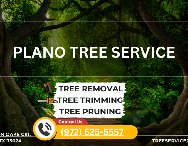 Tree Service Plano 4