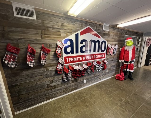 Alamo Termite & Pest Control 4