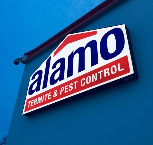 Alamo Termite & Pest Control 5