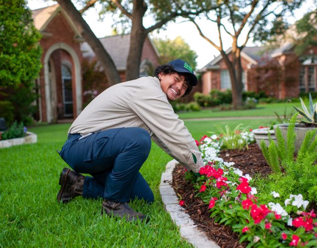 Village Green Lawn & Plant Health 3