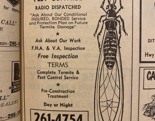 Allied Antimite Termite & Pest Control 4