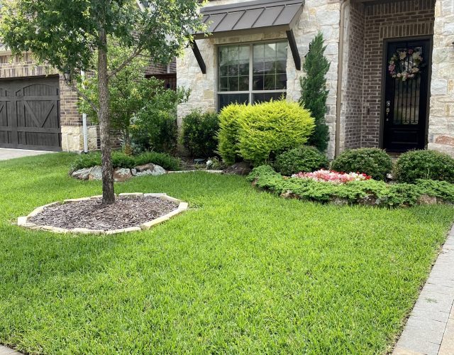 Plano Landscaping 4