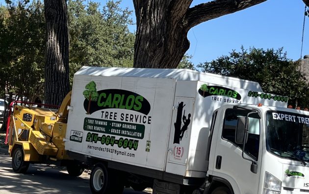 Carlos Tree Service 4