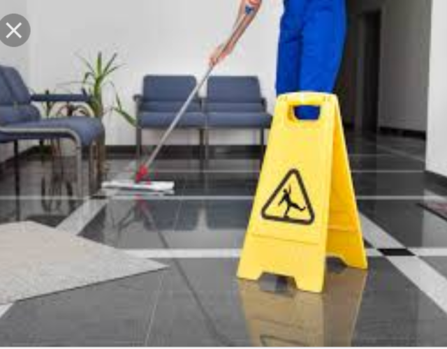 nerys cleaning co 6