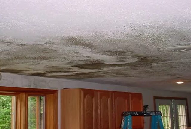 Water Damage Restoration Team-Bedford 3