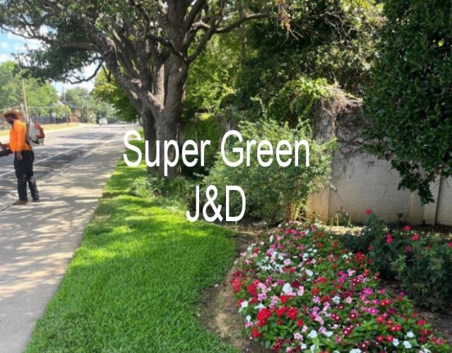 Super Green J&D LLC 4