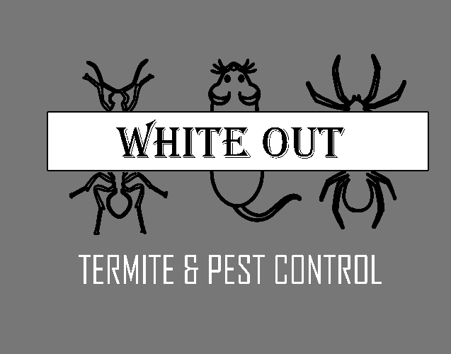 White Out Termite and Pest Control 2