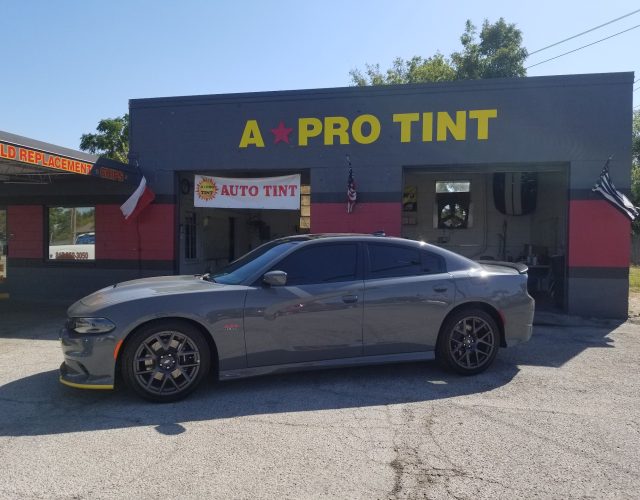 A Pro Tint 4