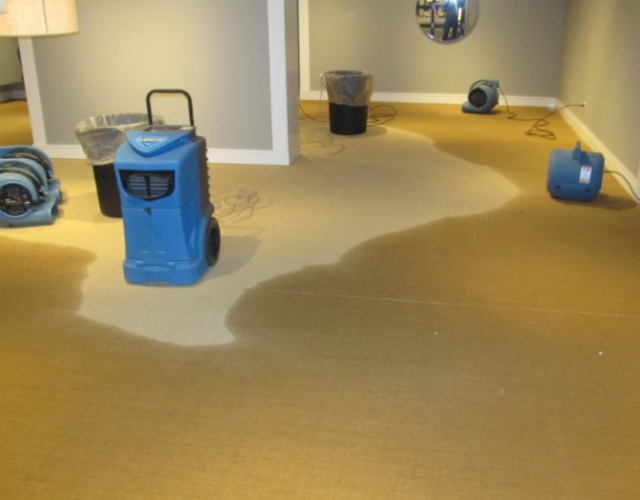 A+ Water Damage Restoration Frisco TX 5