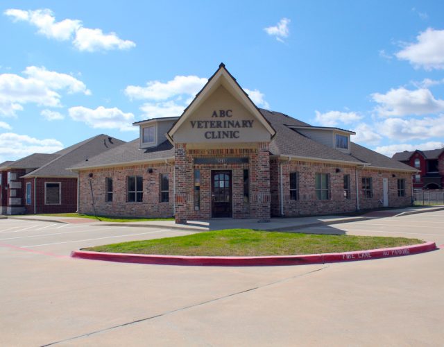 ABC Veterinary Clinic of Lewisville 4