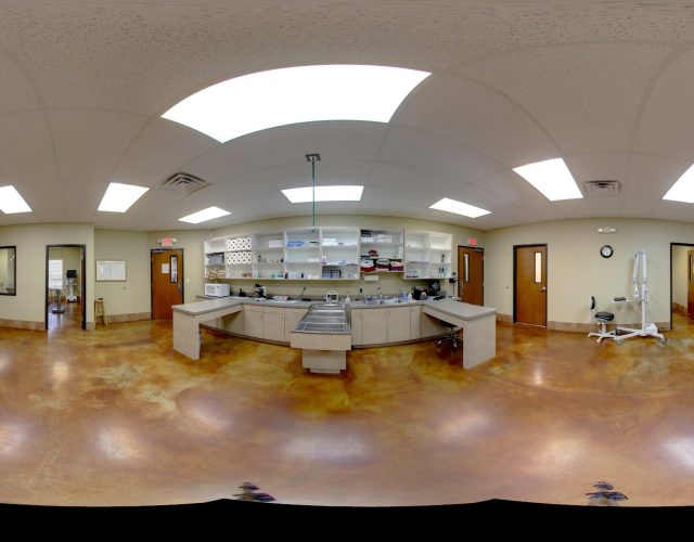 ABC Veterinary Clinic of Lewisville 6