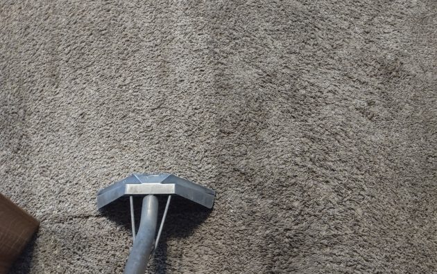 Ace Carpet Cleaning and Water Restoration 3