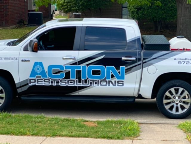 Action Pest Solutions 4