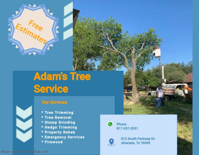 Adam’s Tree Service 4