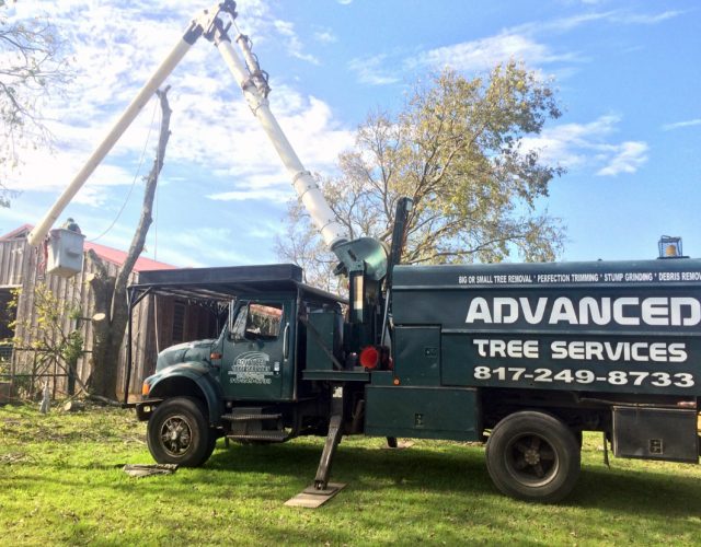 Advanced Tree Services 4