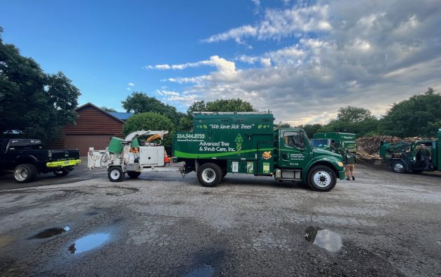 Advanced Tree & Shrub Care, Inc 5