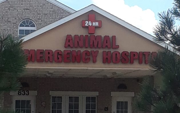 Airport Freeway Animal Emergency Hospital 4