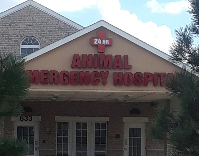 Airport Freeway Animal Emergency Hospital 4