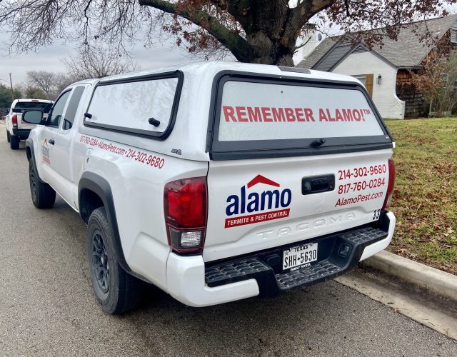 Alamo Termite & Pest Control 5