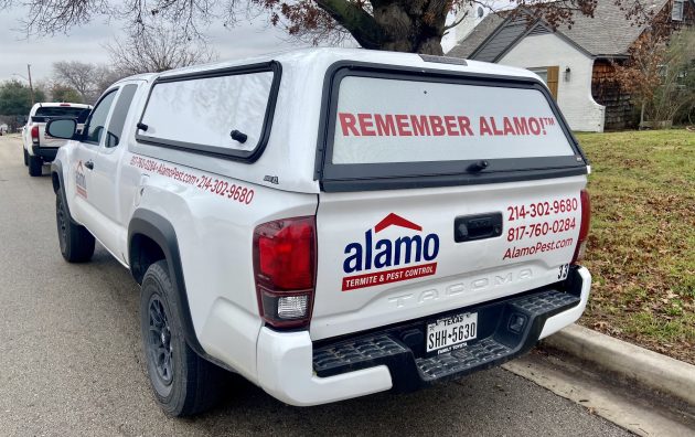 Alamo Termite & Pest Control 6