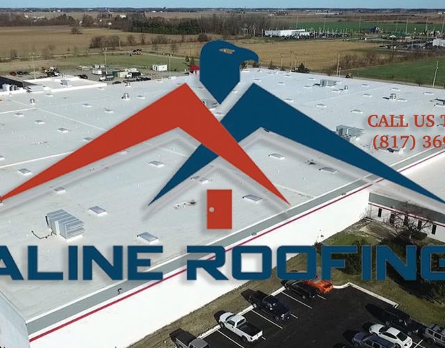 Aline Roofing 6