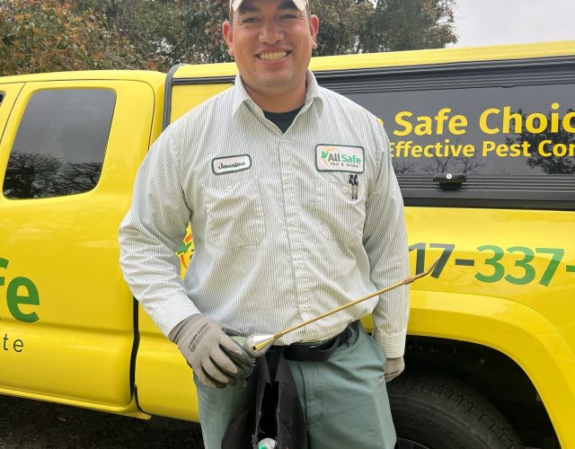 All-Safe Pest & Termite 3