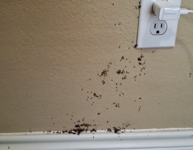 Ameri-Tech Termite & Pest Control, Inc. 6