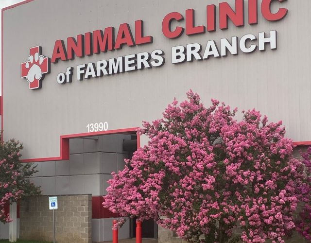 Animal Clinic of Farmers Branch 4