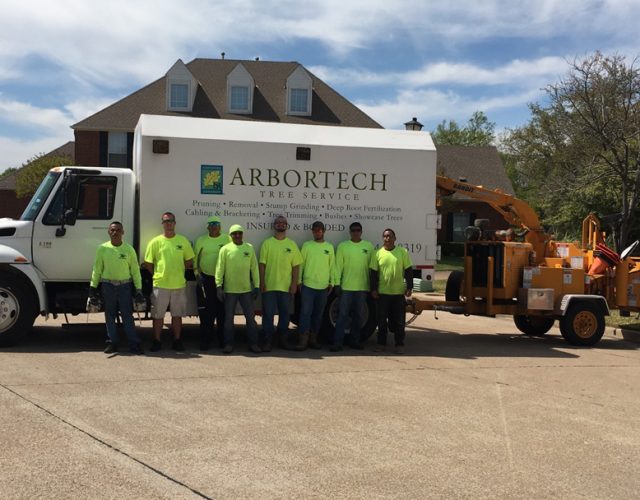 ArborTech Tree Service 4