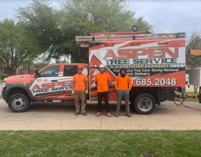 Aspen Tree Service 3