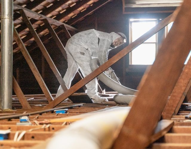 Attic Construction 3