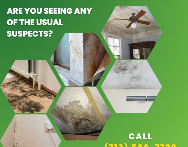 AWA Environmental – Fort Worth Mold Inspectors 3