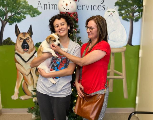 Balch Springs Animal Services & Adoption Center 4