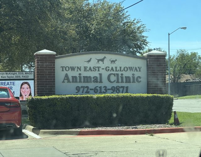 Banfield Pet Hospital 3