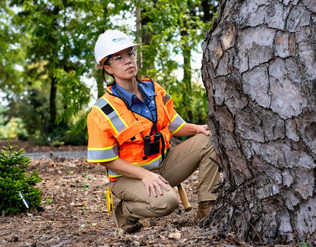 Bartlett Tree Experts 4