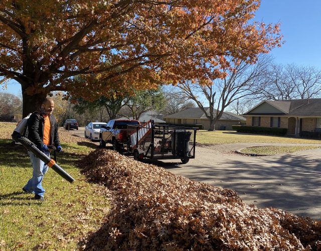 Beyond Lawn Care & Landscaping 3