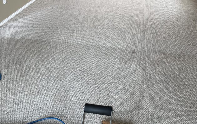 Blue Ribbon Carpet Cleaning 6