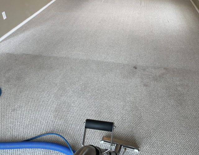 Blue Ribbon Carpet Cleaning 6