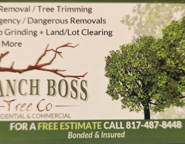 BRANCH BOSS TREE CO 5