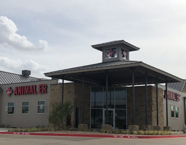 Burleson Animal Emergency Hospital 5